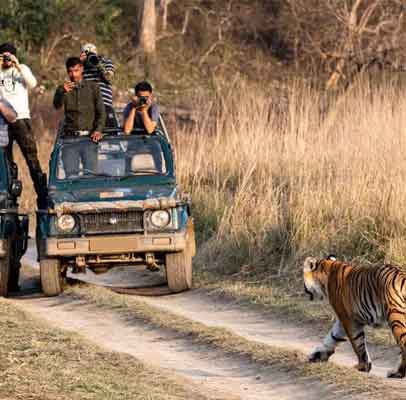 Jaipur Ranthambore Tour