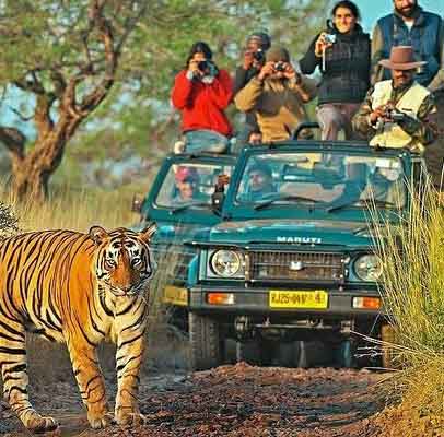 Jaipur Ranthambore Agra Tour