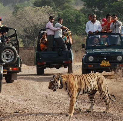 8 Days Golden Triangle Tour with Ranthambore Tiger Safari