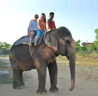 Jaipur Elephant Village Safari Tour